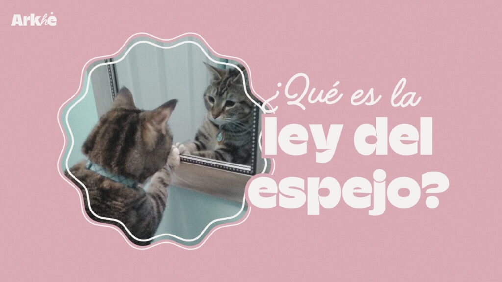 Ley del espejo