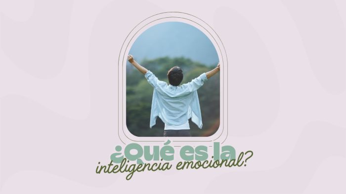 que es la inteligencia emocional que es la inteligencia emocional