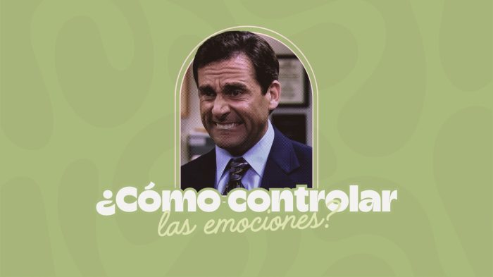 como controlar las emociones como controlar las emociones
